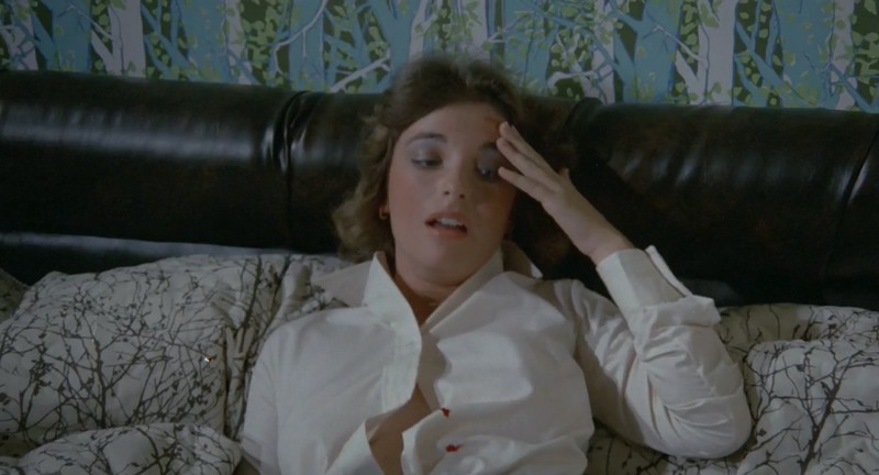 1979美国犯罪《马里布高中》BD720P&BD1080P.英语中字截图