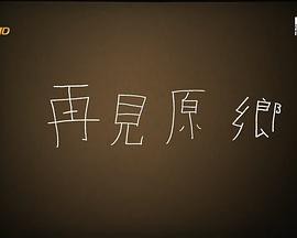 再见原乡封面图