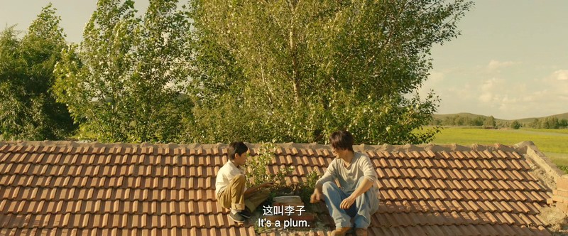 2018国产剧情《向阳的日子》HD1080P.国语中字截图