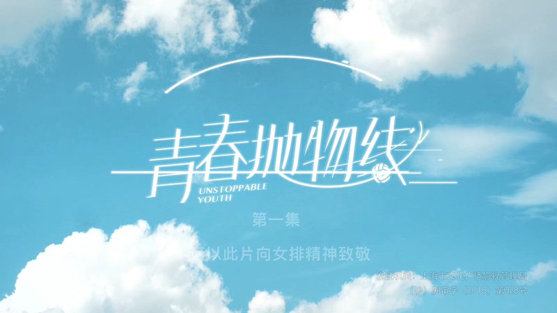 2019国剧《青春抛物线》40集全.HD1080P.国语中字截图
