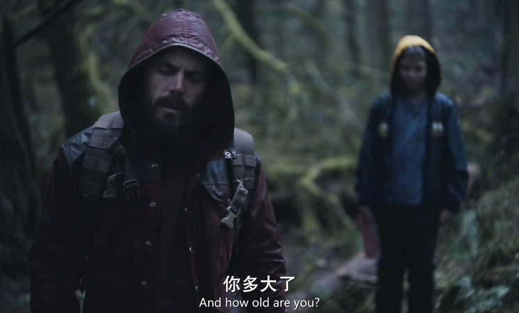 2019美国剧情《我的生命之光》BD720P&BD1080P.英语中英双字截图