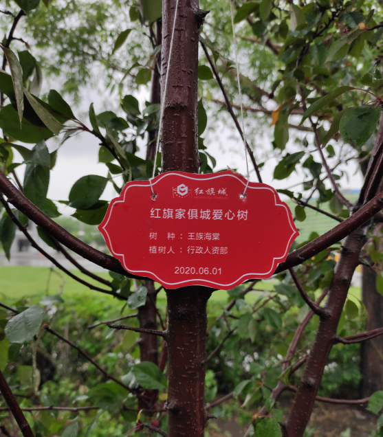 播种爱心 收获希望——暨红旗城团队儿童节爱心植树活动精彩回顾(图4)