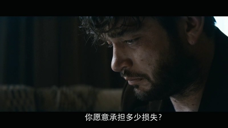 2019德国惊悚《第三次死亡》BD720P&BD1080P.德语中字截图