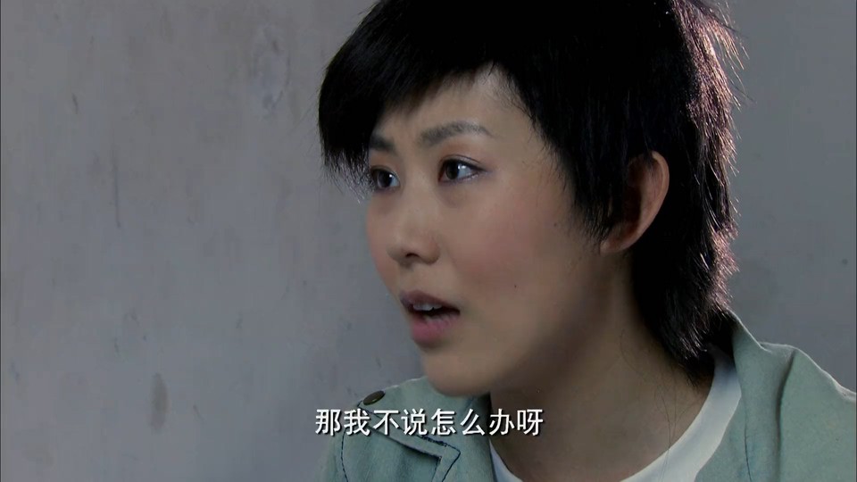 2012国剧《浮尘下的枪声》26集全.HD1080P.国语中字截图