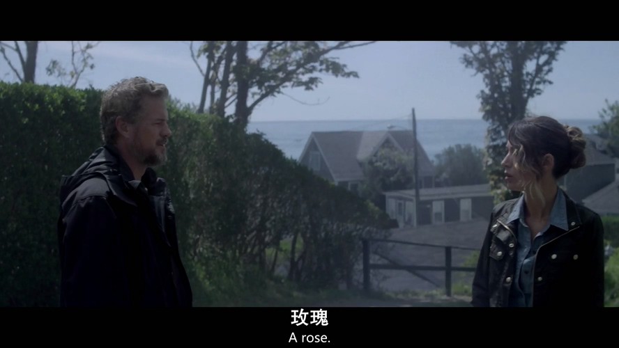 《格雷女士》2017惊悚剧情.HD720P.中英双字截图