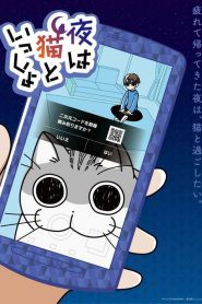 今晚有猫伴身边封面图