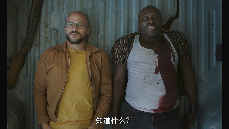 2017加拿大恐怖《食人之饥》HD720P&HD1080P.法语中字截图