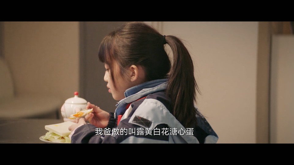 2023国剧《灿烂的转身》20集全.HD1080P.国语中字截图