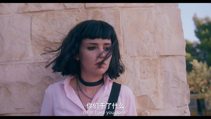 2021约旦剧《阿若瓦比女校》6集全.HD1080P.阿拉伯语中字截图