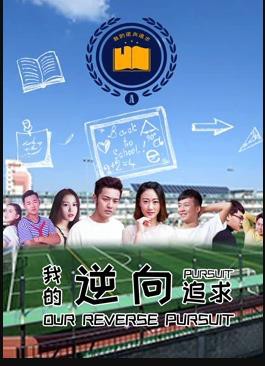 我的逆向追求封面图