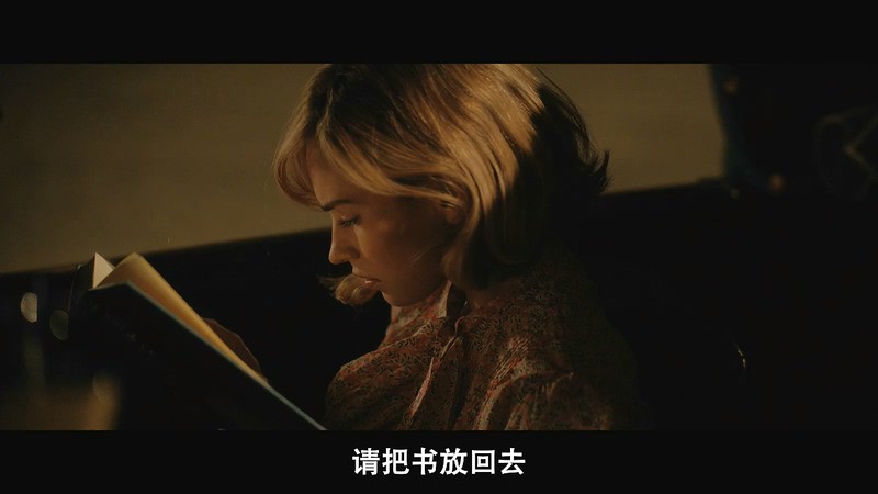 2020爱情悬疑《蝴蝶梦》HD720P&HD1080P.英语中字截图