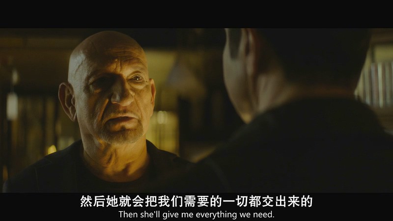 2019英国惊悚《网中蜘蛛》BD720P&BD1080P.英语中英双字截图