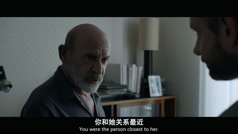 2019美国惊悚《女特工》HD720P&HD1080P.英语中英双字截图