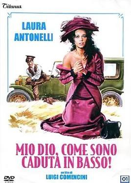 上帝，我怎么掉了下来！封面图