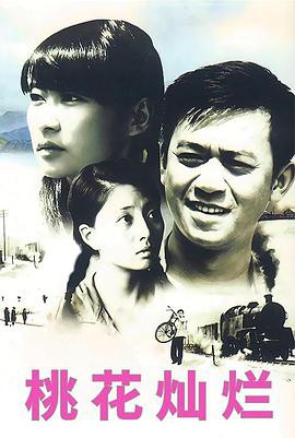 桃花灿烂(2007)封面图