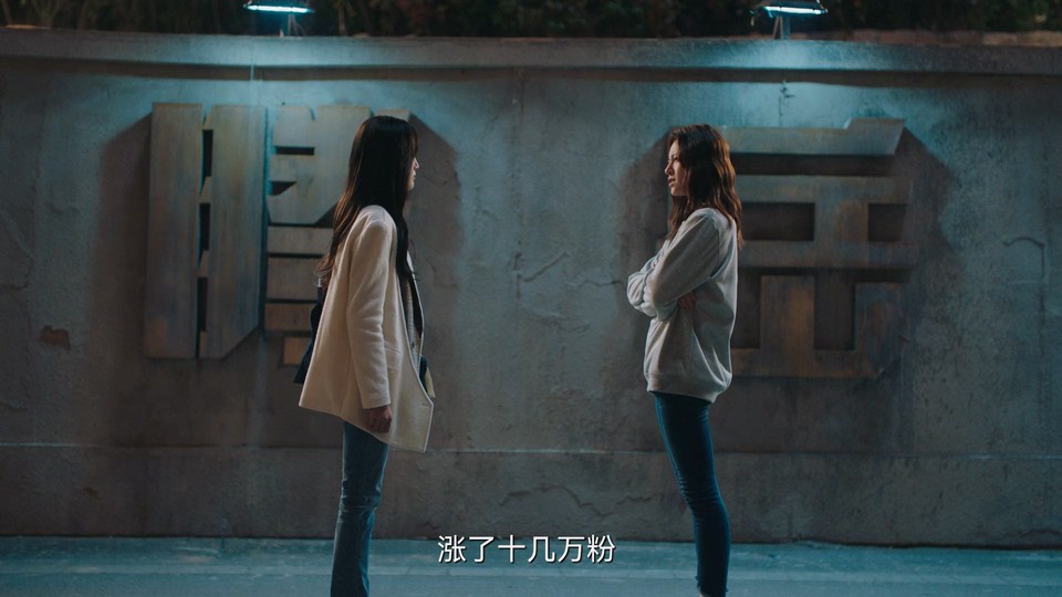 2023国剧《我要逆风去》40集全.HD1080P.国语中字截图