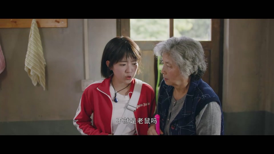 2022国剧《蕨草少女的白日梦》更至24集.HD1080P.国语中字截图