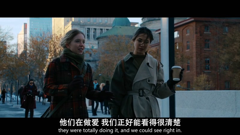 2021美国惊悚《偷窥者》HD720P&HD1080P.英语中英双字截图