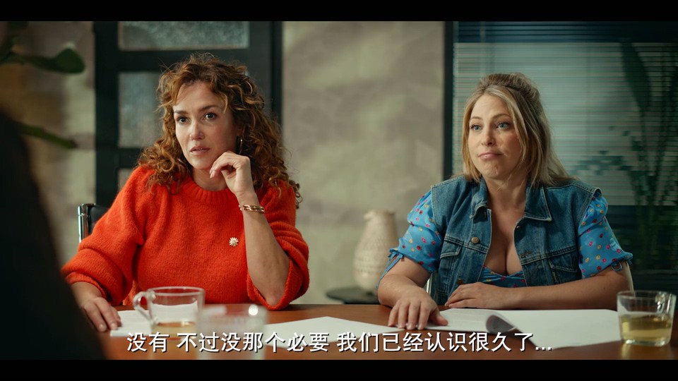 图片[2]-神奇的飞跃周 2023荷兰喜剧 HD1080P 迅雷下载