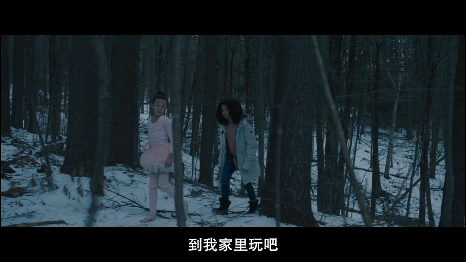 2021美国恐怖《老房之秘》BD1080P.英语中字