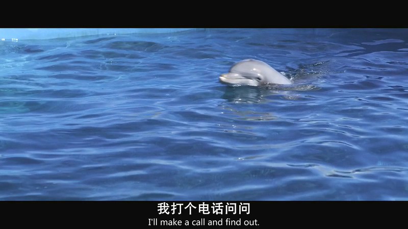 2020加拿大动作喜剧《海豚伯尼2》HD720P&HD1080P.英语中英双字截图;jsessionid=LP8qin9C-mZZQoAZRBlGFOEBbjFHMrcngq2G5qm6