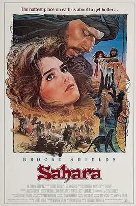 撒哈拉1983封面图