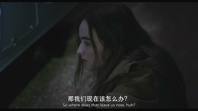 2019美国剧情《长路简史》BD720P&BD1080P.英语中英双字截图