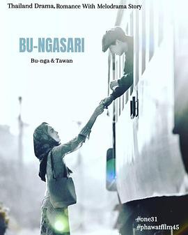 垂花琴木封面图