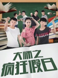 大师之疯狂假日封面图