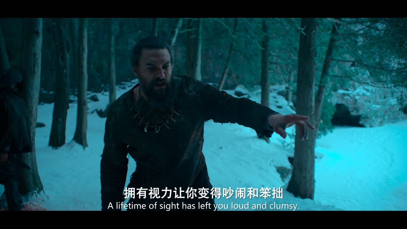 2021美剧《看见 第二季》8集全.HD1080P.英语中英双字截图