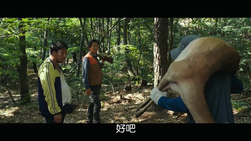 2019犯罪惊悚《请寻找我》HD720P&HD1080P.韩语中字截图;jsessionid=hvvMUnML6T8GqQQYJJwTOSmn1d53k0B3EshNNplK