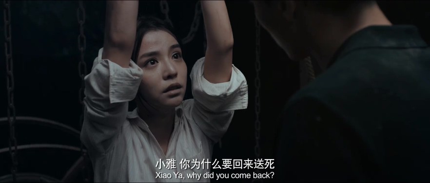 《请勿靠近》2017悬疑惊悚.HD1080P.国语中字截图