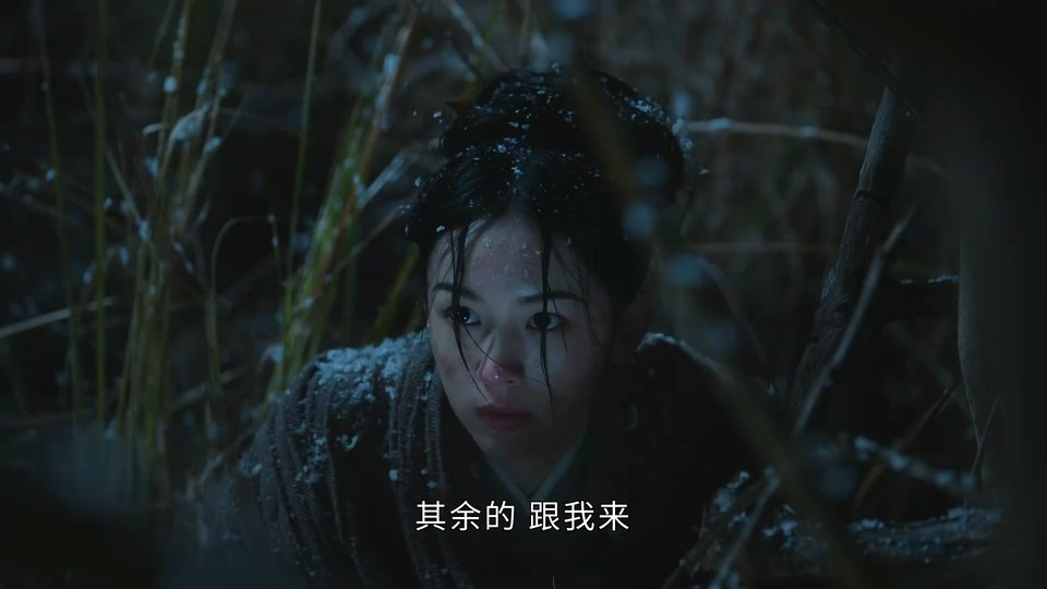 2023国剧《为有暗香来》30集全.HD1080P.国语中字截图