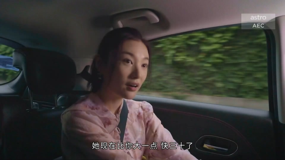 2022新加坡剧《快跑吧，丽娇！》21集全.HD1080P.国语中字截图