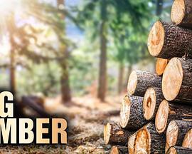 终极伐木达人第一季封面图