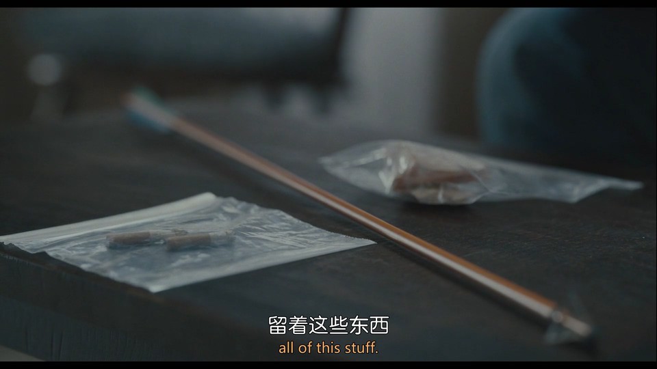 2022美国惊悚《上帝的国度》HD1080P.英语中英双字截图