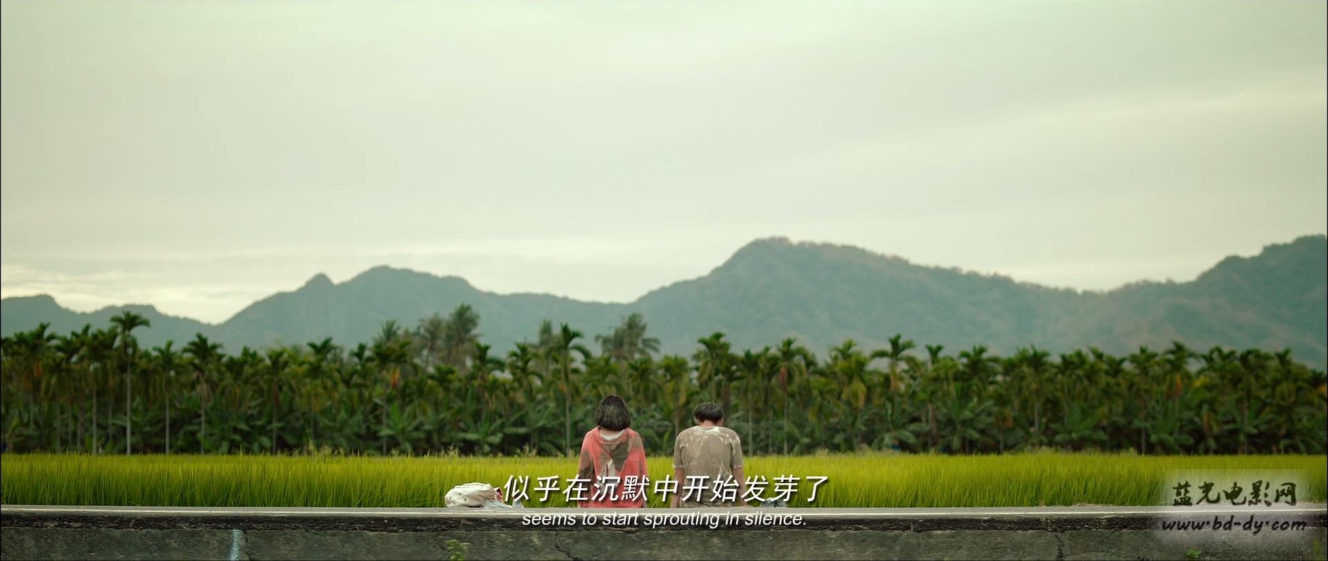《六弄咖啡馆》2016台湾爱情.HD1080P.国语中字截图