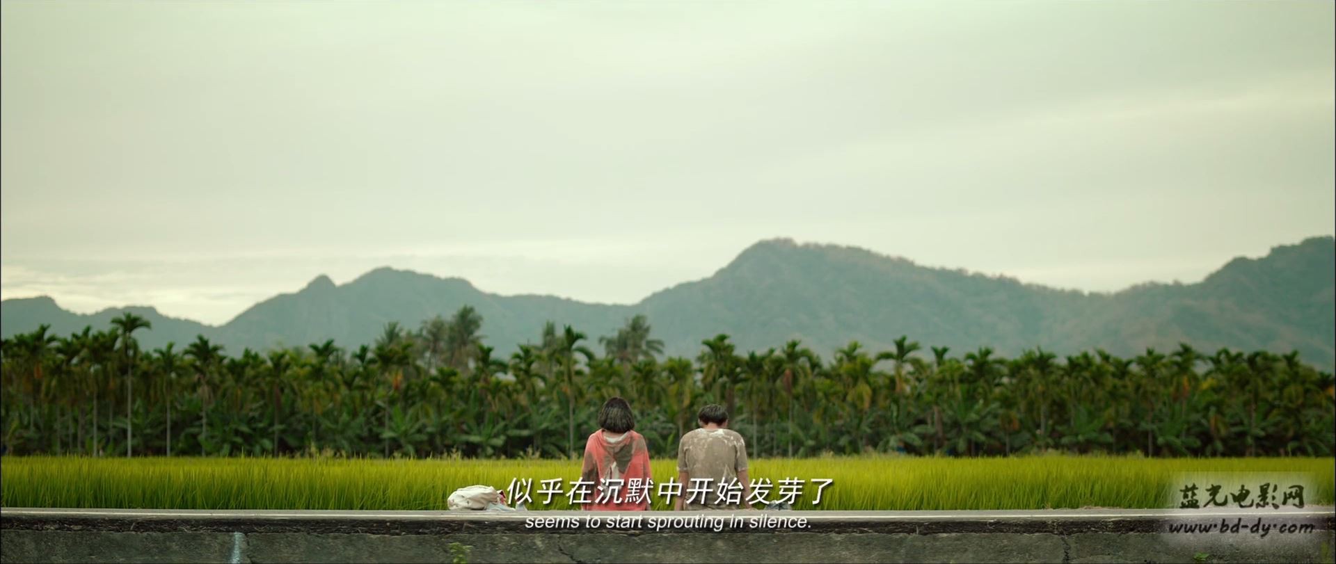 《六弄咖啡馆》2016台湾爱情.HD1080P.国语中字截图;jsessionid=axM-7kuzyjXNxcht0a3h83zAxeVb316jv9nb4X9V