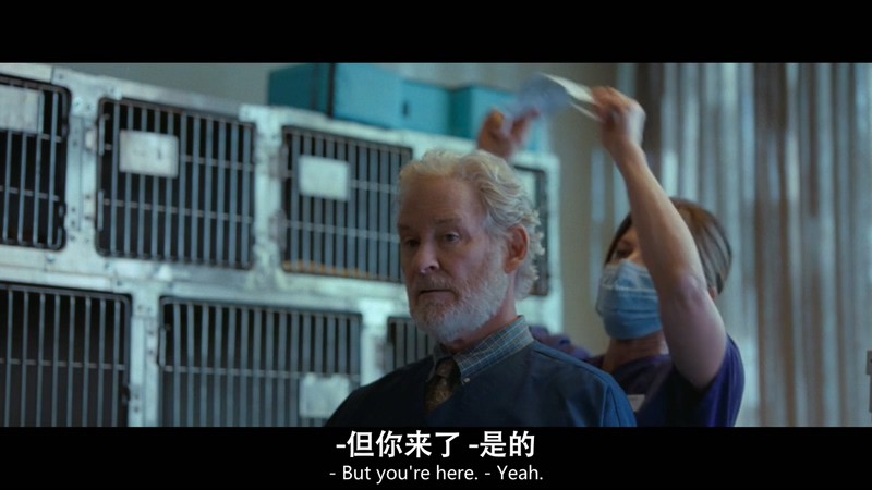 2021美国剧情《八哥》HD720P&HD1080P.英语中英双字截图