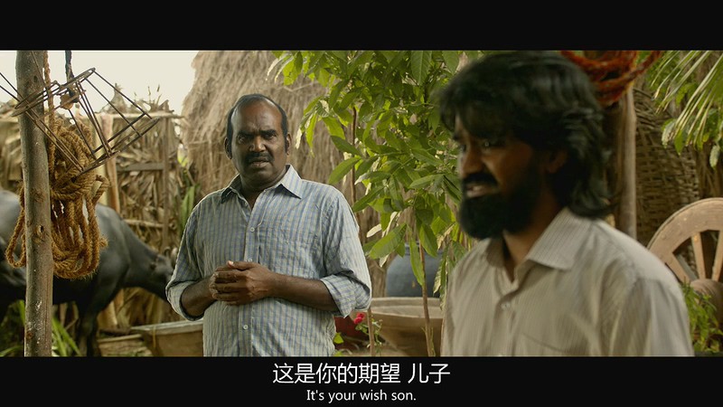 2018印度动作《人民公仆/巴拉特》HD720P.中字截图