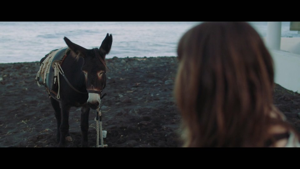 疗愈火山岛剧照