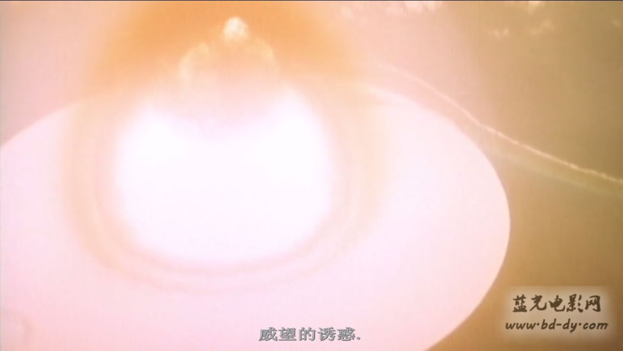 《万物一体》2015高分纪录片.HD720P.英语中字截图
