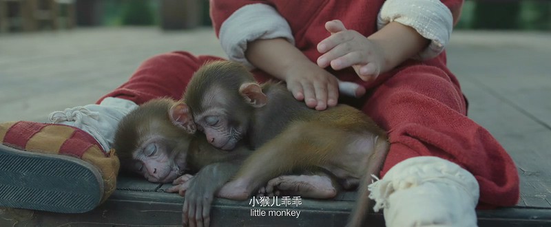 新乌龙院之笑闹江湖剧照