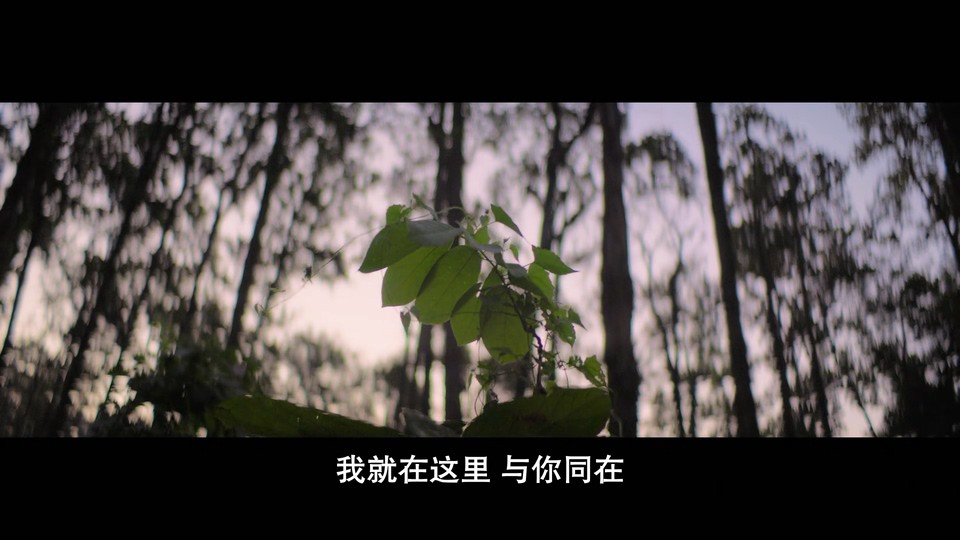 2022喜剧《虎口》HD1080P.印地语中字截图;jsessionid=_ezfXlYHsUETOwspxbMV5KBdtwwnPQrIEjHkWSHm