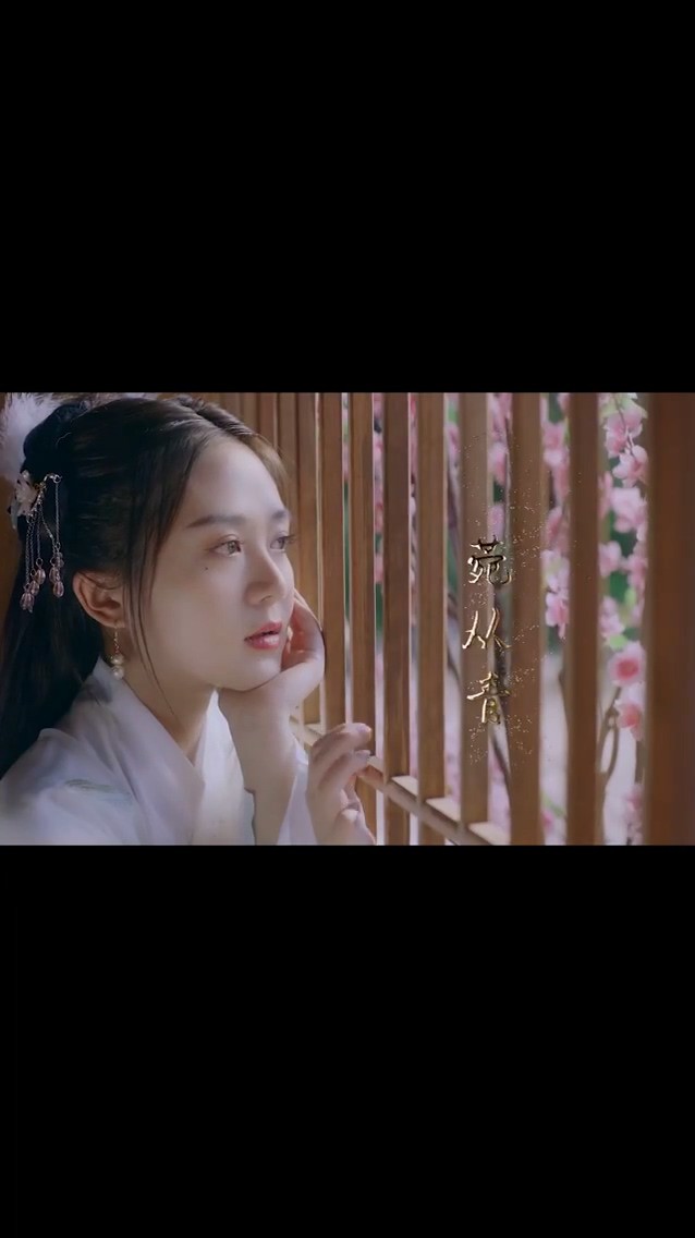 软萌娘子是杀手封面图