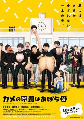 乌龟的壳其实是肋骨封面图