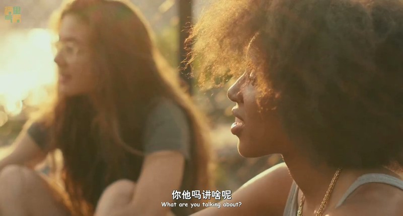 2018美国剧情《滑板少女/滑板厨房》HD1080P.中英双字截图