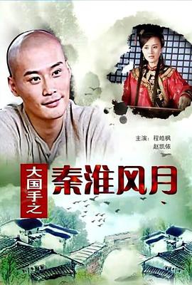 大国手之秦淮风月封面图