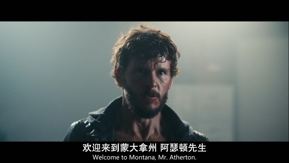 2022犯罪动作《暗影特工》HD1080P.英语中英双字截图