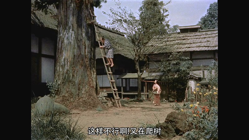 1954动作冒险《宫本武藏》BD720P&BD1080P.日语中字截图